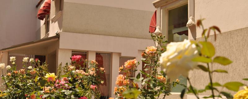 Theranda Boutique Тирана